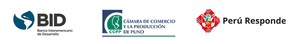 ORGANIZADORES-1-600×90-2