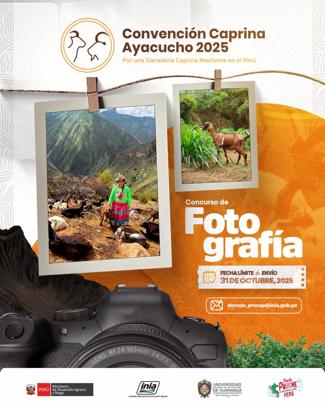 Concurso Fotografía